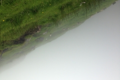 20140709_161839882_iOS
